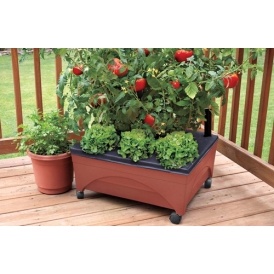 Patio Raised Garden Bed $19.88!