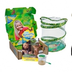 40% off Insect Lore Morphing Kits @ Amazon