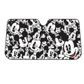 Disney Windowshield Covers Just $9.99 Each