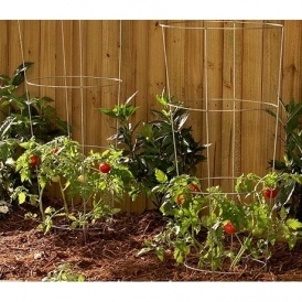 Woodstock Wire Tomato Cages $3.99 @ Kmart