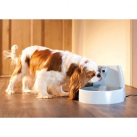 Drinkwell Pet Fountain Only $19 @ Amazon