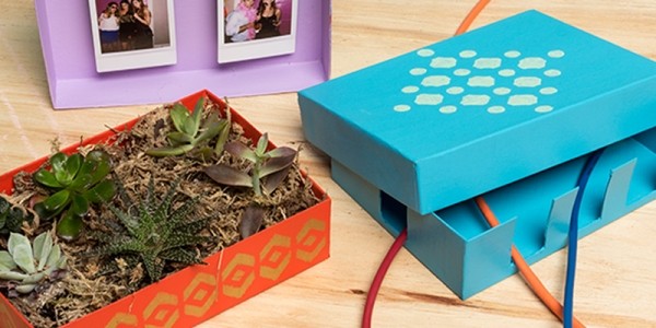 11 Cute Ways To Upcycle Old Birchboxes