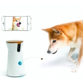 Furbo Treat Tossing Camera $139 @ Amazon