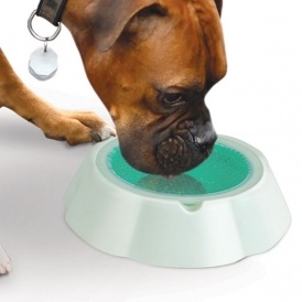 Frosty Bowl Chilled Pet Bowl $7.99