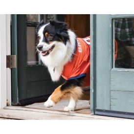 Rare $25 Off $75 Purchase Offer @ Petsmart