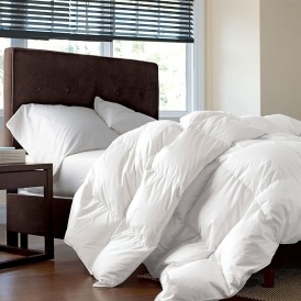 Summer Soft Comforters $31 @ Jane
