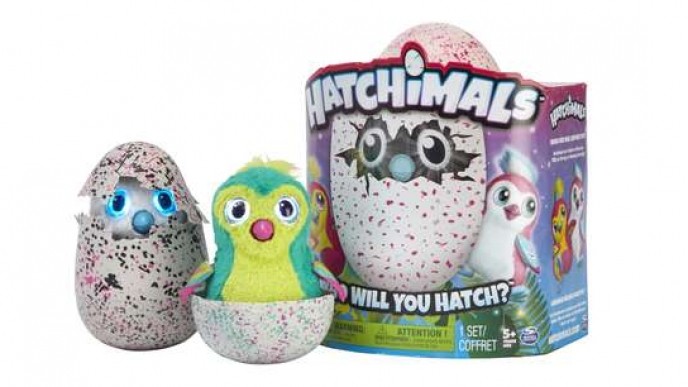 Where To Buy Hatchimals In The US 2017