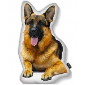 LiLiPi Dog Shaped Pillows $13 @ Tanga