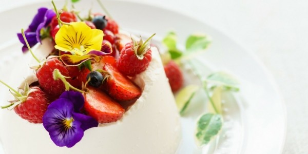 Where to Buy Edible Flowers