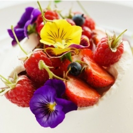 Where to Buy Edible Flowers