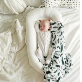DockATot Safety Co-Sleeper $165 @ Target