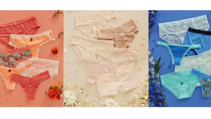 10 for $30 Aerie Panties + $15 Bras & $10 Bralettes @ American Eagle