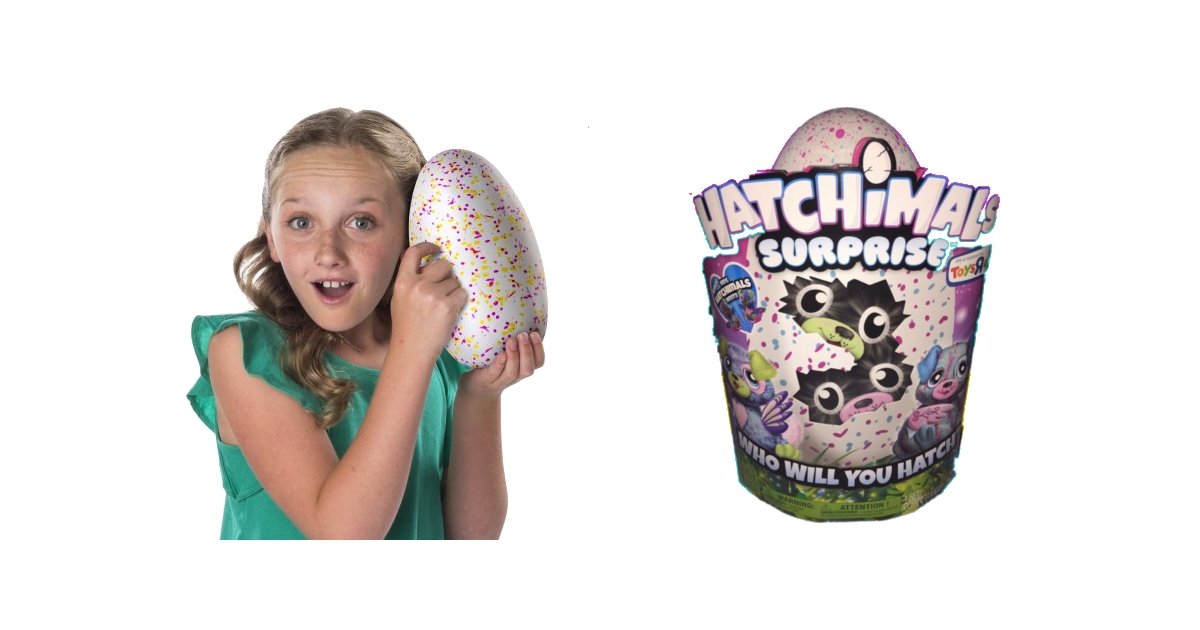 twin hatchimals