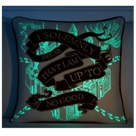 Harry Potter Pillow Cover $50 @ PBteen