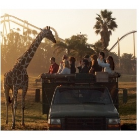 2 Florida Amusement Park Tickets 40% Off