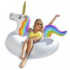 Unicorn Inflatable Float $13