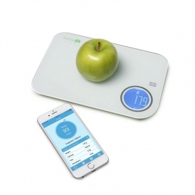 NutriScale Kitchen IQ Scale $10 @ Hollar