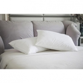 2pk Memory Feather Pillows $10 @ Walmart
