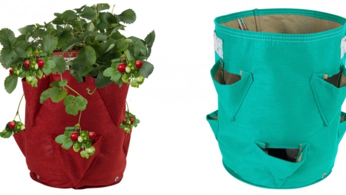 12 Plant Strawberry Grow Bag Only $10 @ Deal Genius