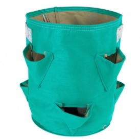 Strawberry Grow Bag Only $10 @ Deal Genius