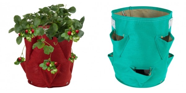 12 Plant Strawberry Grow Bag Only $10 @ Deal Genius