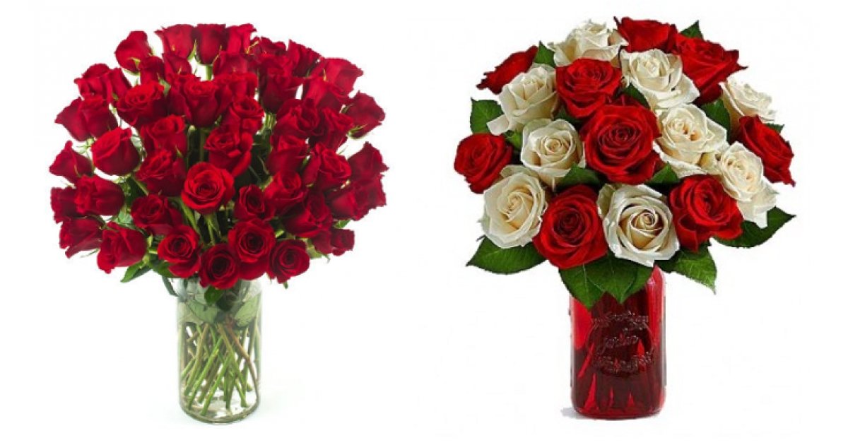 50 Long Stem Valentine's Day Roses Just $50 @ Costco