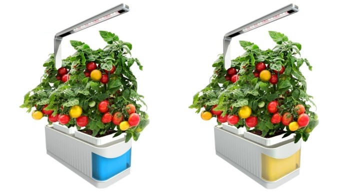Year-Round Tabletop Hydroponic Growing System Just $21 @ Amazon