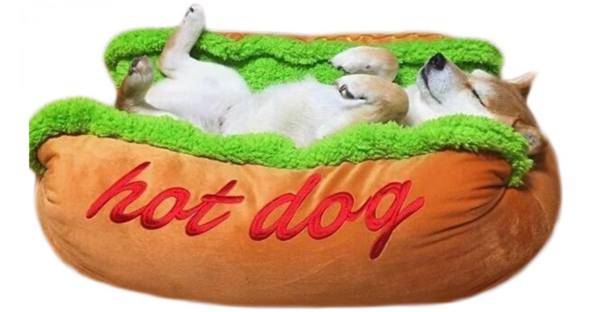 Adorable Hot Dog Pet Bed Just 26 Amazon