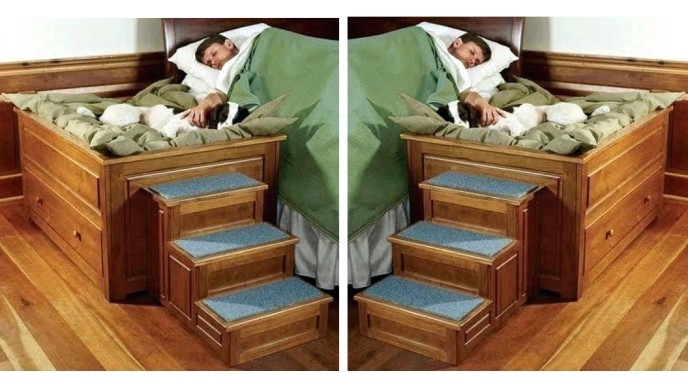 elevated dog bed with stairs