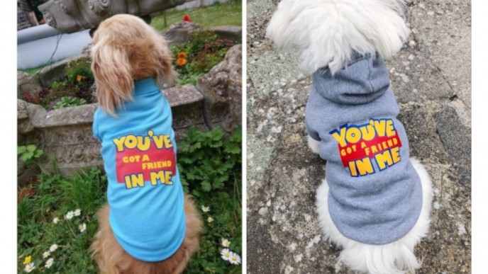 Toy Story Style "You've Got A Friend In Me" Dog Apparel From $15 @ Etsy