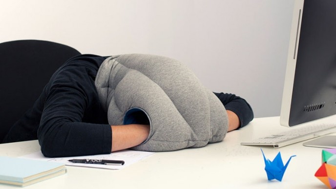 Ostrich Napping Pillow Are Only $16.69 Shipped @ eBay