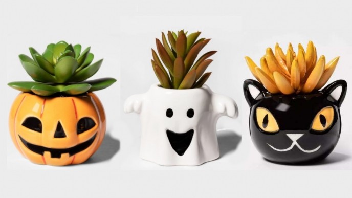 Scarily Adorable Halloween Succulents Are Coming!