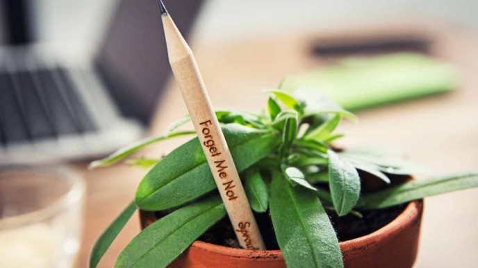 These Pencils Grow Into Plants When Planted!