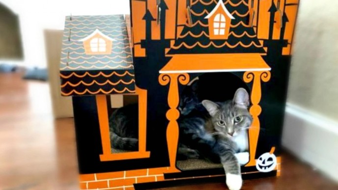 Haunted House Cat Scratcher Just $17 @ Target