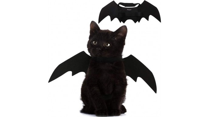 Bat Wings Cat Halloween Costume $7.99 @ Amazon