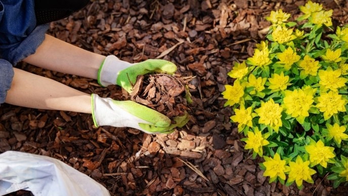 Mulch on Sale 5 for $10 Sale Dates for 2024