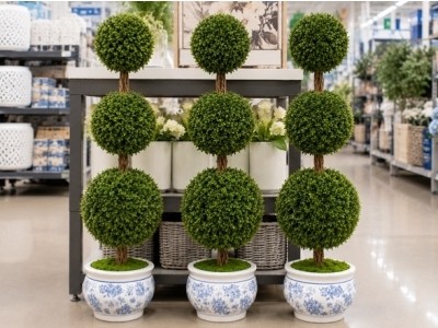 My Texas House 3' Boxwood Topiary Just $20