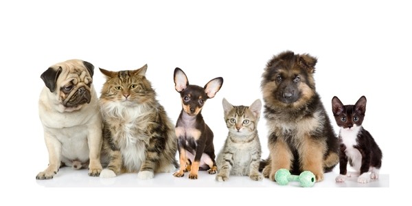Save $10 On Your $30 Purchase @ PetSmart