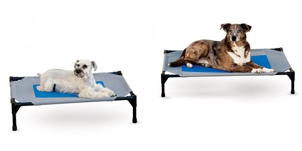 Coolin' Pet Cot Bed $5.37 @ Amazon