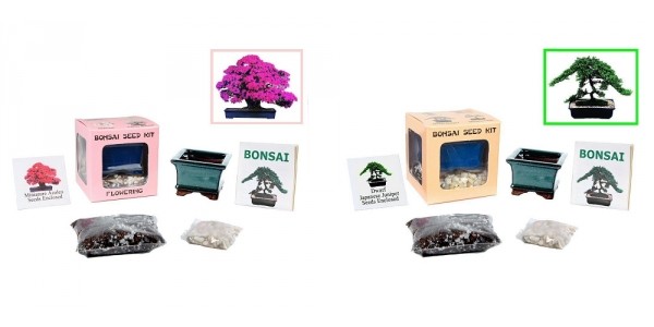 Complete Bonsai Seed Kit $13 @ eBay