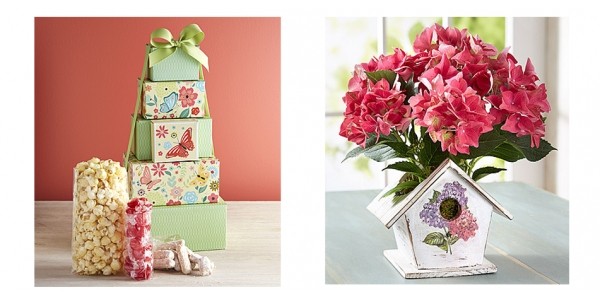 Save Up To 50% Off On Mothers Day Flowers And Gifts @ 1800Flowers