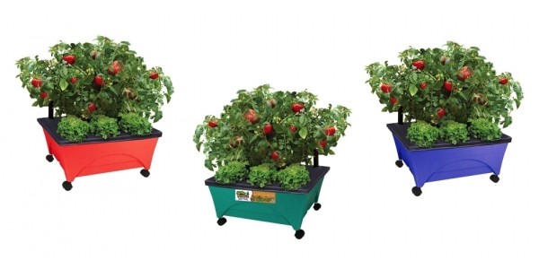 Self-Watering Patio Raised Garden Bed Grow Box Kit $20 @ Home Depot
