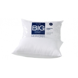 The Big One Pillows Just $2.54