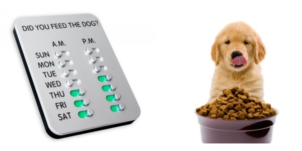Did You Feed The Dog Sign Just $10 @ Chewy