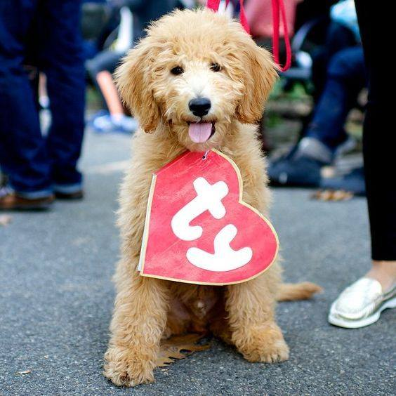 Dog Beanie Baby Tag Costume $19.99 @ Amazon