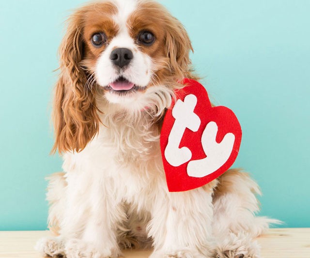 Dog Beanie Baby TY Tag Costume $19.99 @ Amazon