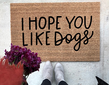 Best Funny Doormats 