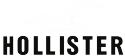 Hollister logo